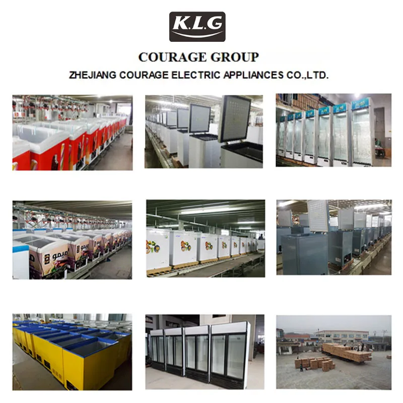 600L SKD CKD DKD Double Sliding  Doors Display drink upright fridge