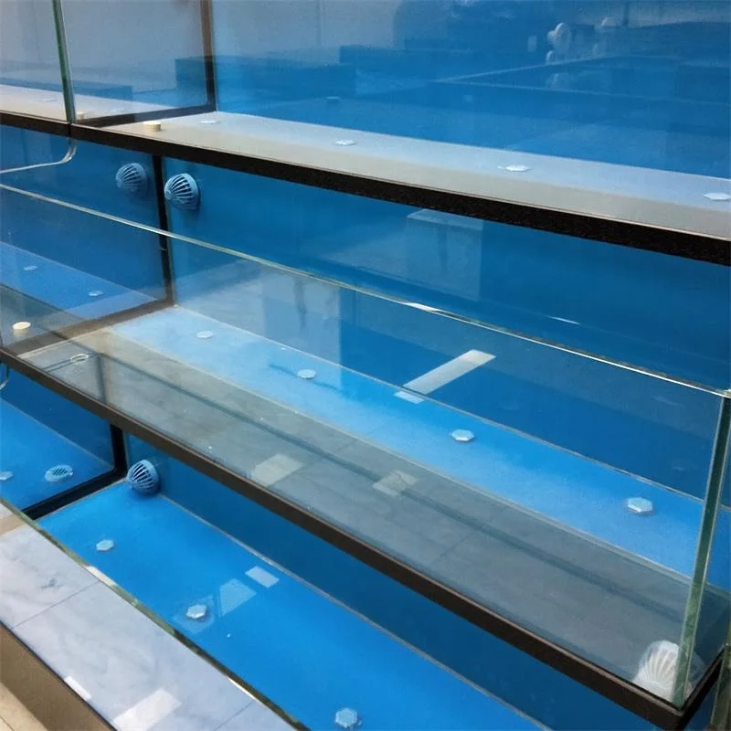 Customized Supermarket or Restaurant 3 Layer Chiller Protein Skimmer Crab Lobster Live Fish Tank