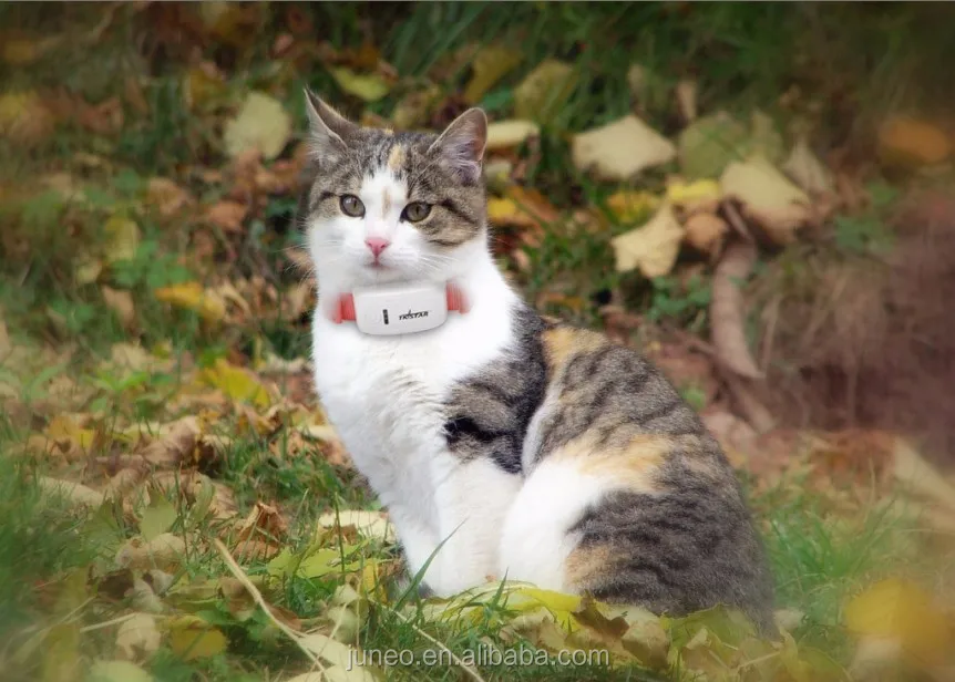 TKSTAR TK909 Pet Gps Tracker For Animals with Free APP and PC Trackering with Dog Collar