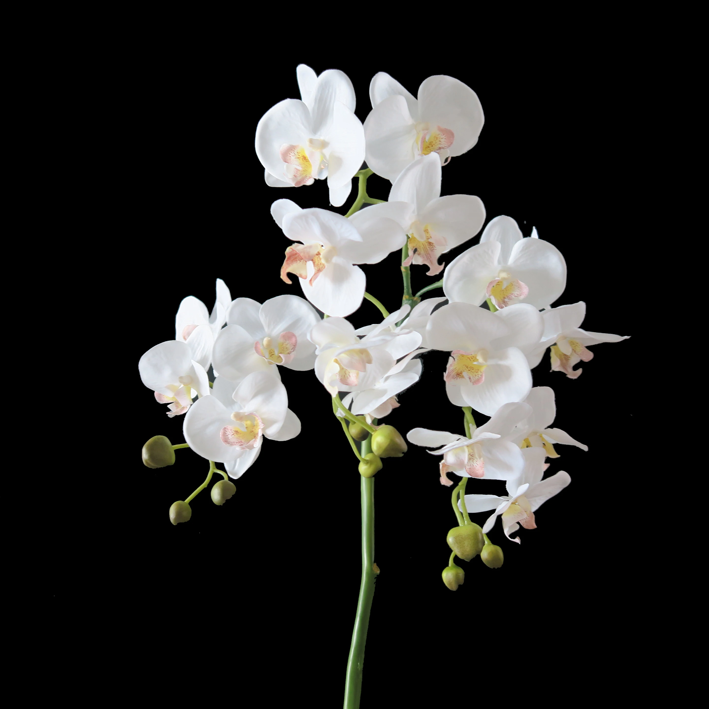 52cm Simulation White Phalaenopsis Orchid with Pot and Leaves