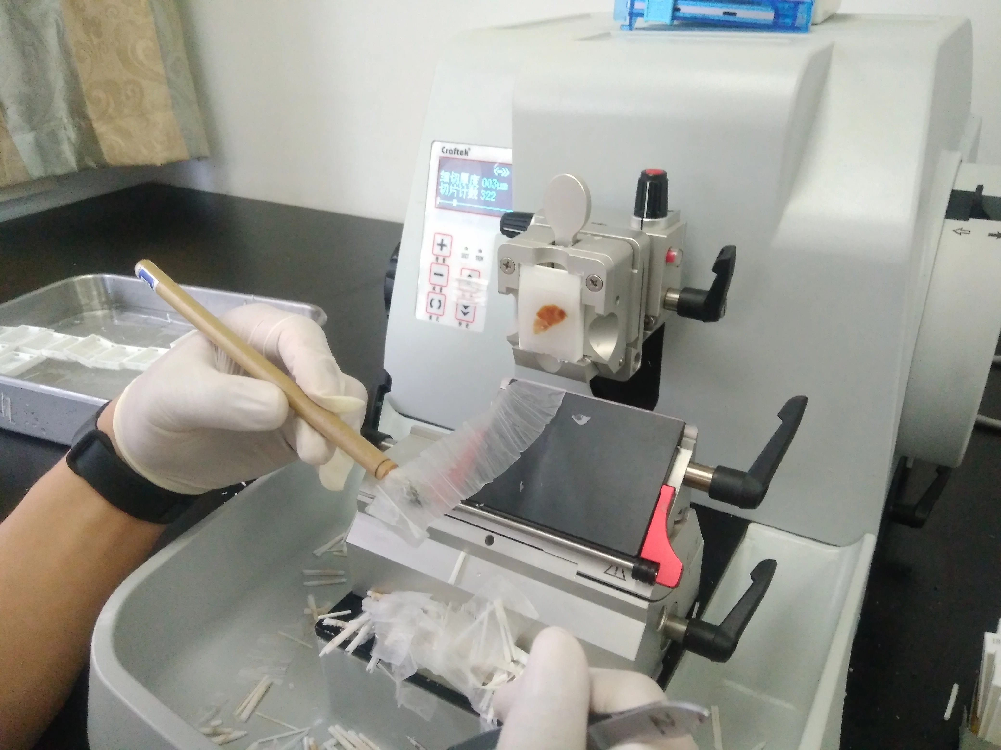 2-Mode Slicing Cutter for Pathology