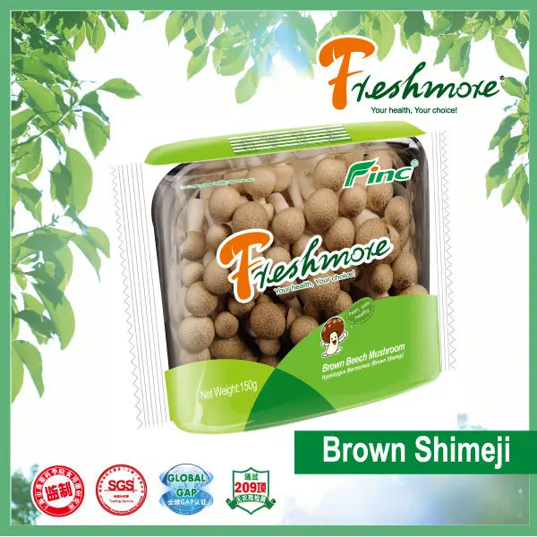 
Finc fresh Soilless Culture oyster mushroom seeds 