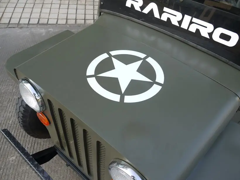 Unique design fashional china garden personal electric utility car