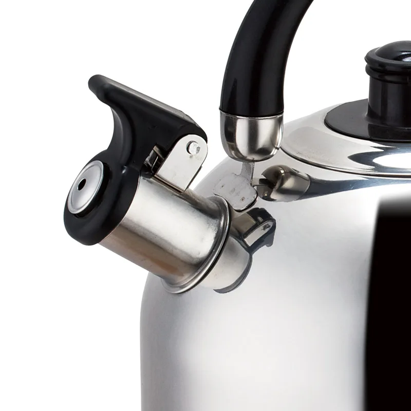 Stainless Steel Whistling Kettle 2.0L Simple For Household Tea 2.5L Induction Cooker Pot 3.0L For Promotion Gift 3.5L Kettle