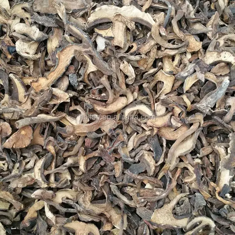 
Dried Frozen Porcini Mushrooms in Black Color 