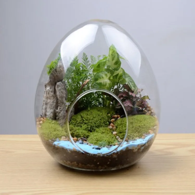 
Micro indoor decor landscape vase hanging geometric glass terrarium 