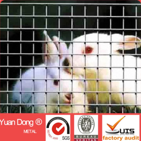 High quality stainless steel bird cage welded wire mesh (really factory)