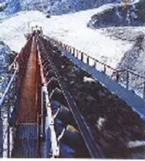China best quality frost resistant area freezing conveyor belts