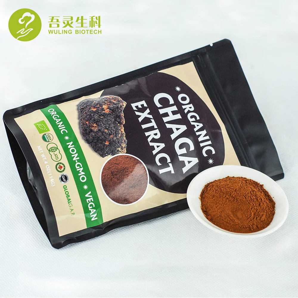 Herbal Supplement Bio Herbs Chaga Powder Wild Organic Chaga Mushroom