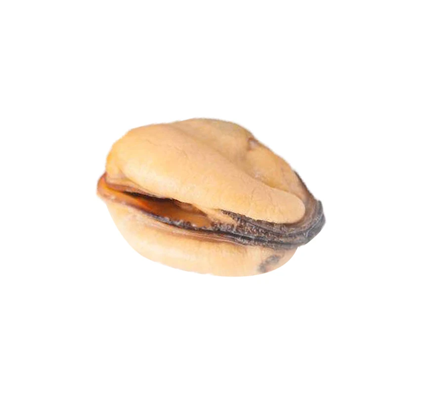 Frozen blue mussel meat company 1Kg/Bag or 10Kg/CTN Bulk Package