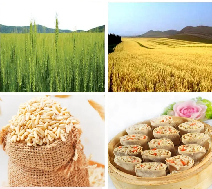 
Cereal powder, oat powder for cereal drink 