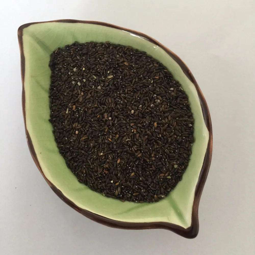 
S421 Xun yi cao High Germination Lavandula Angustifolia Seeds for Planting 