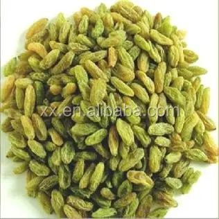 
chinese sun dried xinjiang green raisins for export 