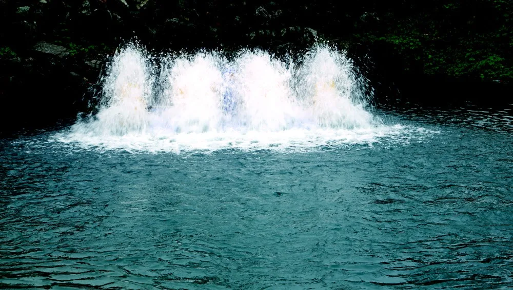 Hot Selling Small 2hp long arm paddle wheel Aerator