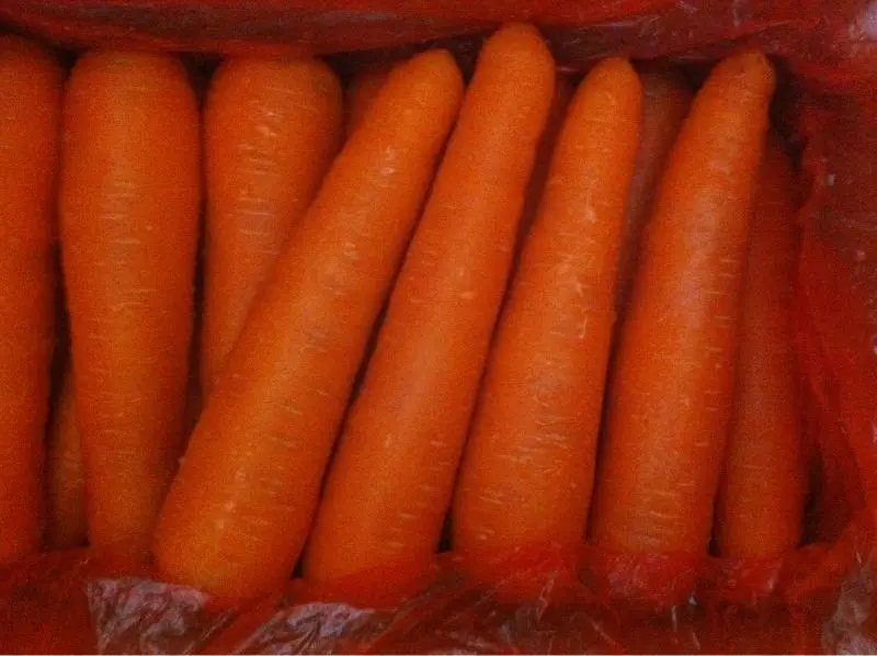 
fresh carrots 2012 