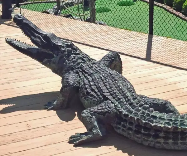 Outdoor Decor Bronze Crocodile Sculpture Bronze Alligator Statue