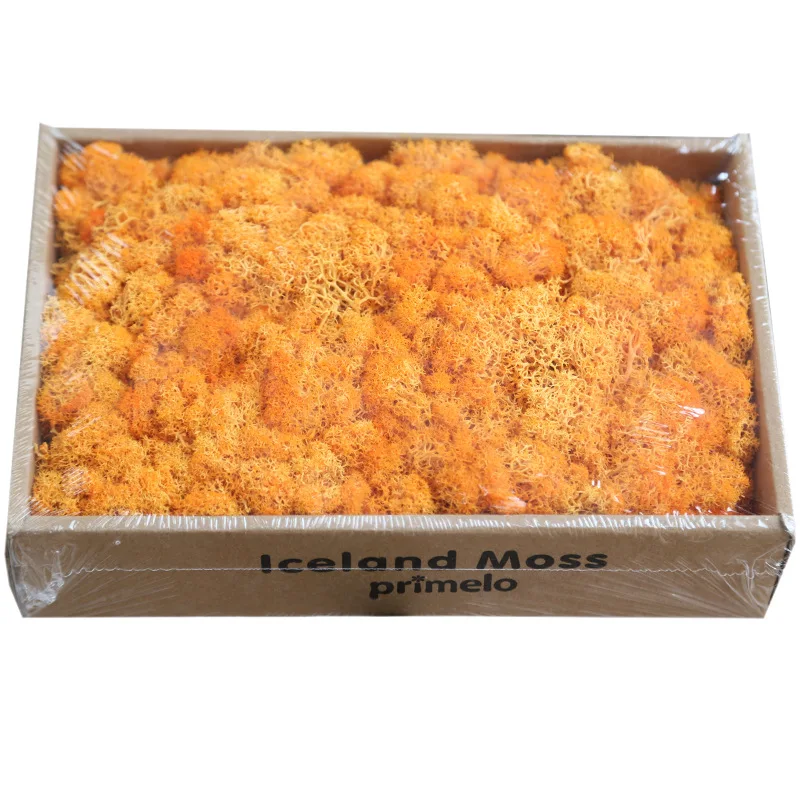 wholesale decorative moss 10 colors real touch preserved immortal moss for wedding backdrop decoration