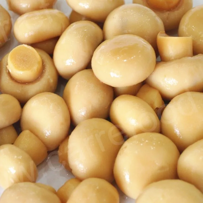 
425g hot sale canned champignon mushroom whole in China 