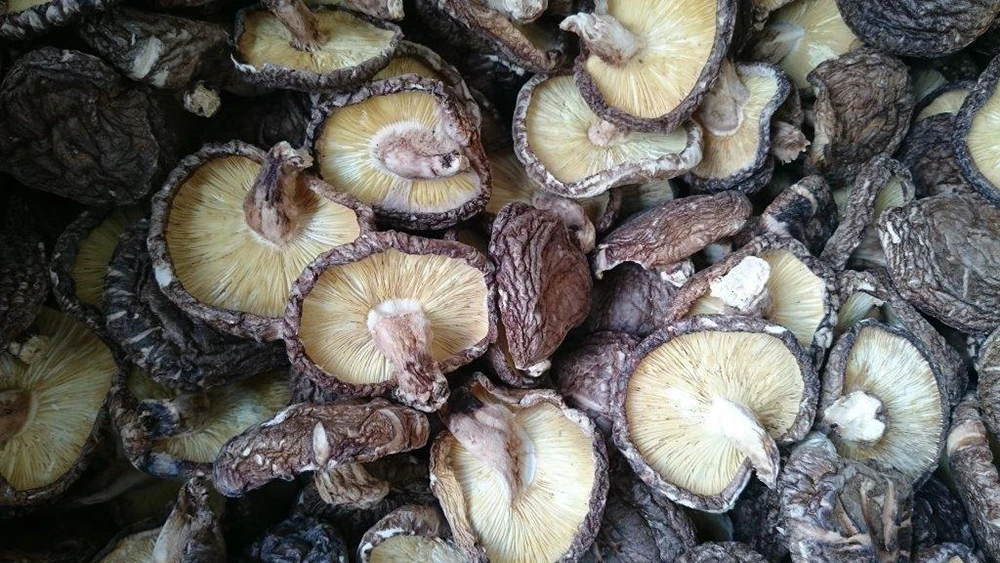 
Delicious 1kg dried edible mushroom products with different size 