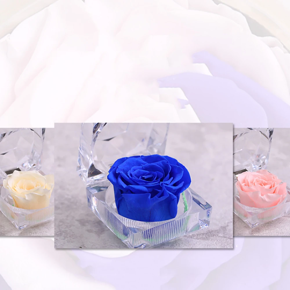 
Preserved Real Rose, Never Withered Roses Exquisite Fresh Roses Immortal Flowers Best Gift for Female 