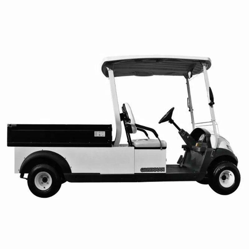 Aluminium 2 seats 310kg electric cargo vehicle