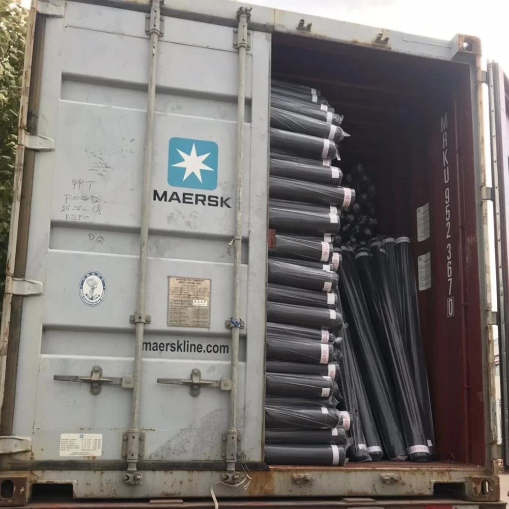 
190T Polyester Taffeta Cheap Printed Lining Fabric PA Coated For Bag Bangladesh Market 