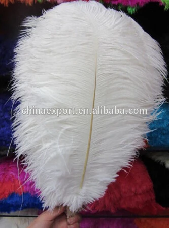 
Carnival Wedding Decoration Cheap White Ostrich Feather 