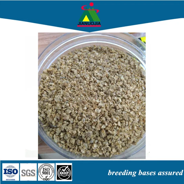 pet koifish feed daphnia