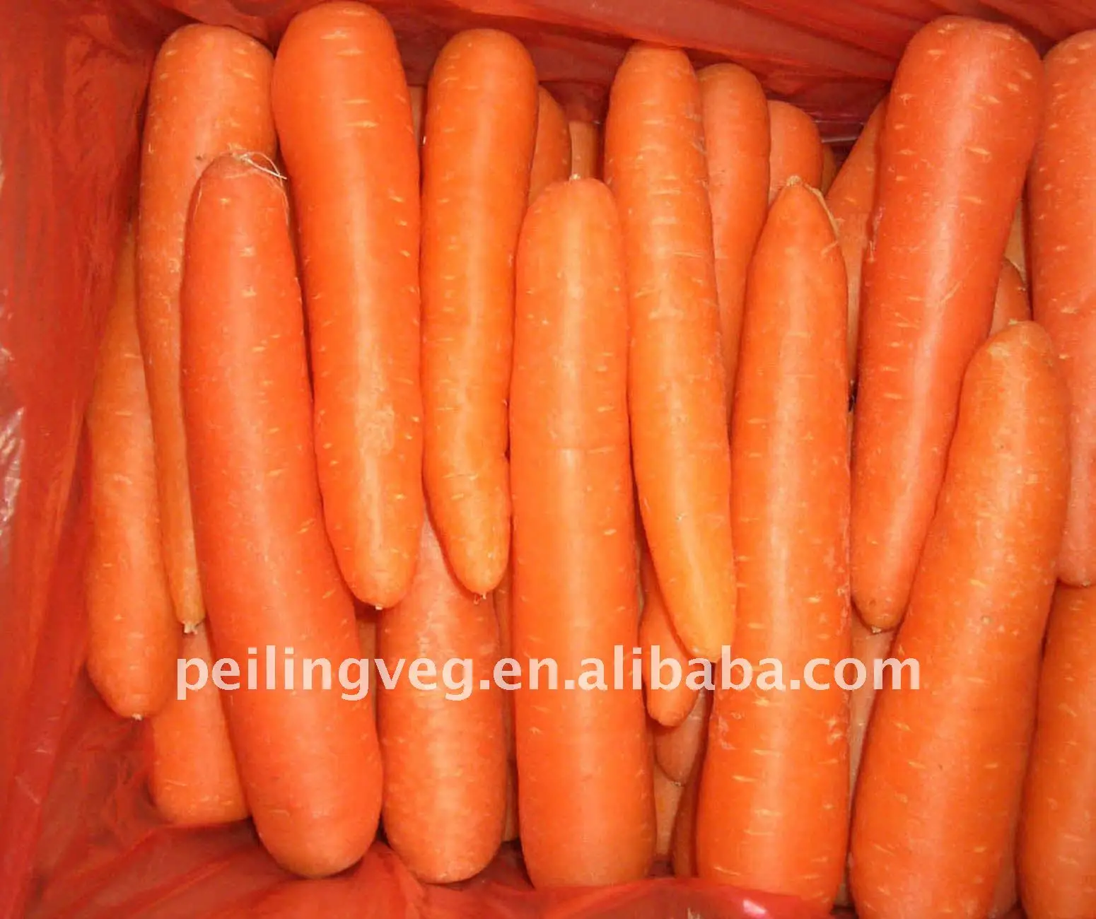 
Chinese Fresh Baby Carrots supplier 80-150g 