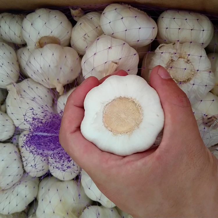 Jixiang Fresh Garlic 10kg Loose packing Carton Size 5.5cm