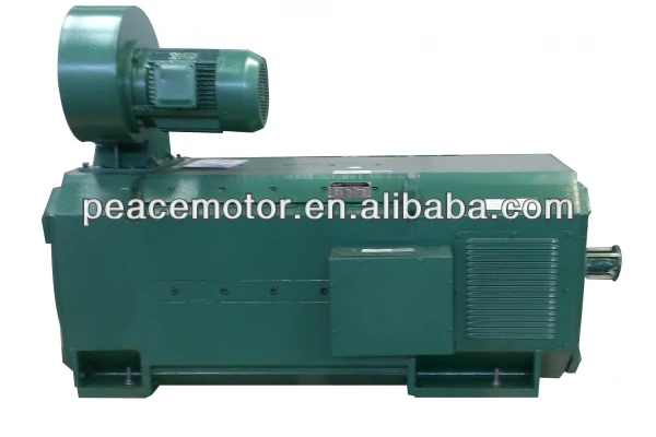 z4 серии постоянного электрического двигателя