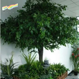 Miniature banyan tree banyan tree plant indoor artificial banyan tree