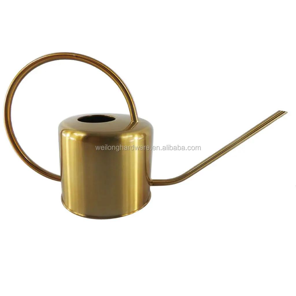 1L Stainless Steel Watering Can Garden Home Modern