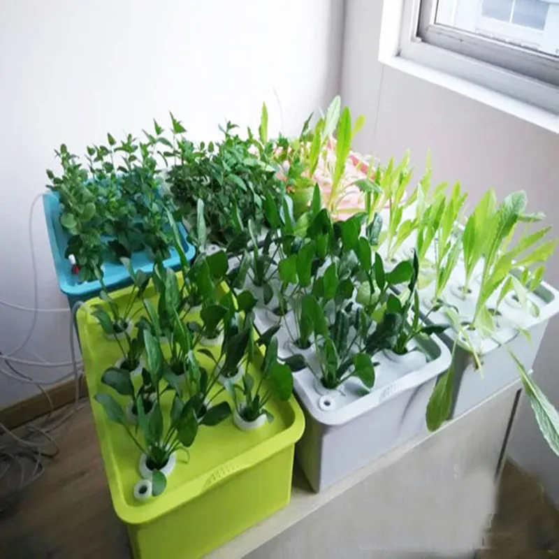 6 holes home desktop Hydroponic planting growing box