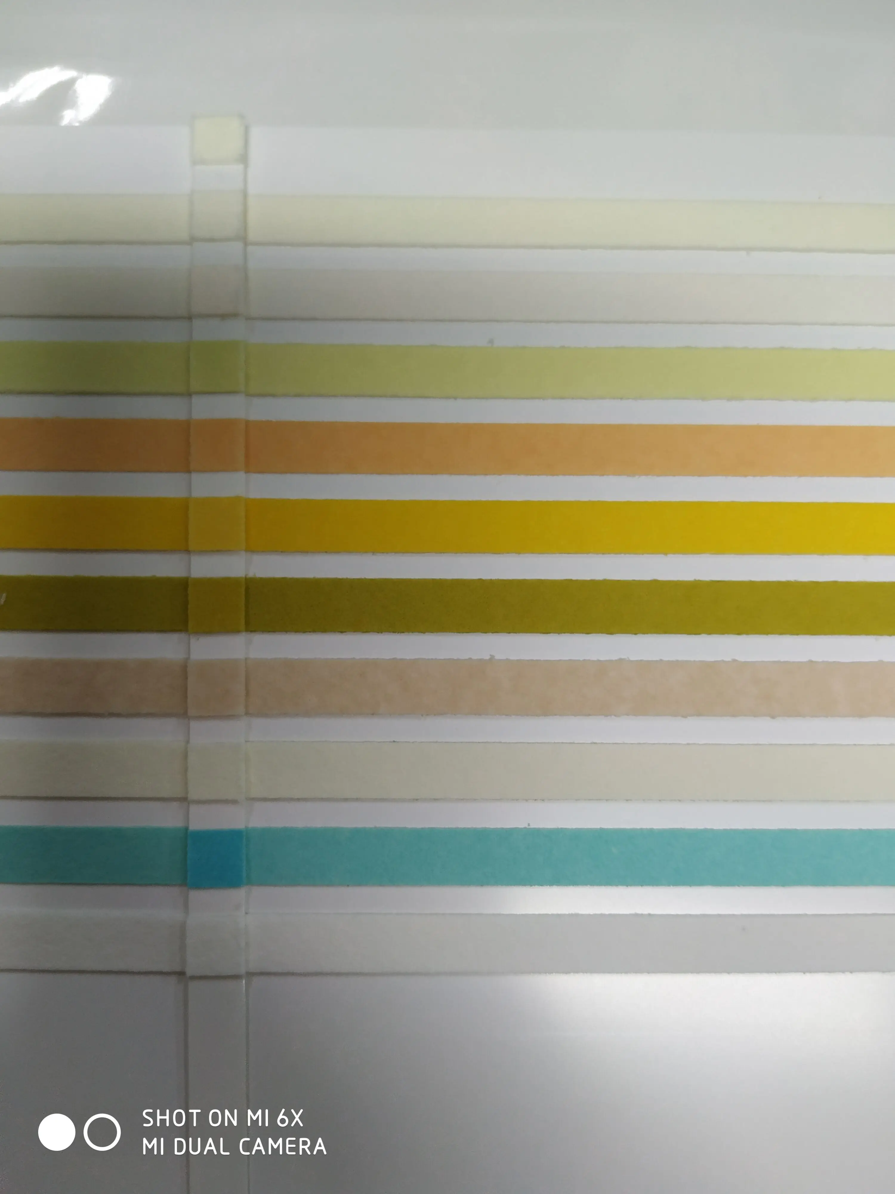 IVD Rapid Test Uncut sheet for Urinalysis Reagent Strip (URS test)  uncut sheet 4, 5, 10, 11, 12 Parameters