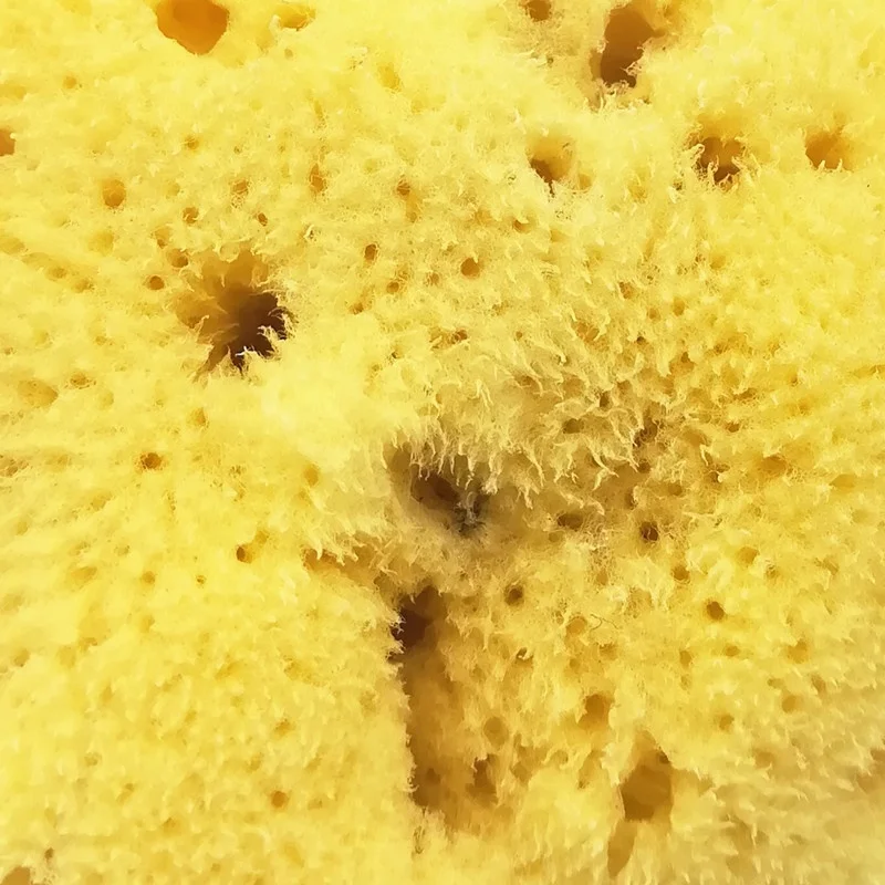 Custom Packaging Wholesale Rich Foaming Silk Skin Care Natural Facial Shower Puff Bath Sea Sponge