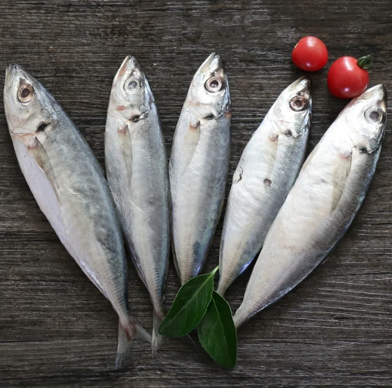 Замороженная скумбрия замороженная круглая Скумбрия