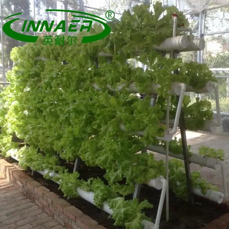 The most popular agricultural products is pinard plant slot