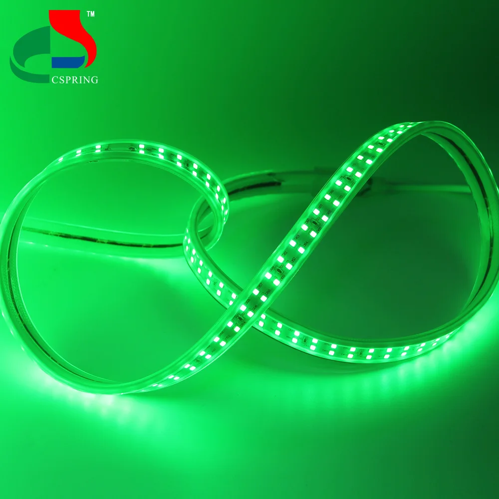 AC220v Blue Green Warm white Double rows SMD2835 12W/M led strip light for outdoor