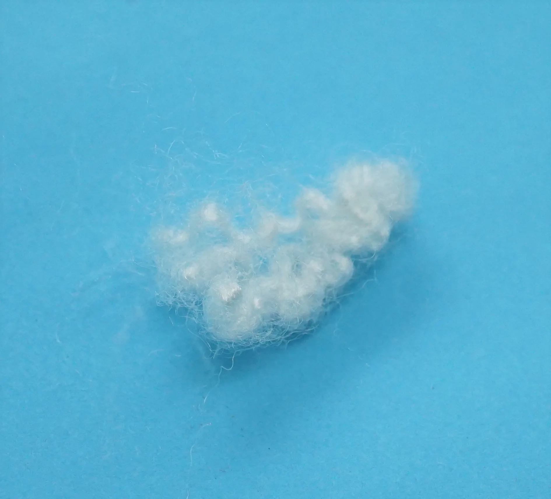 recycle polyester poliester stuffed