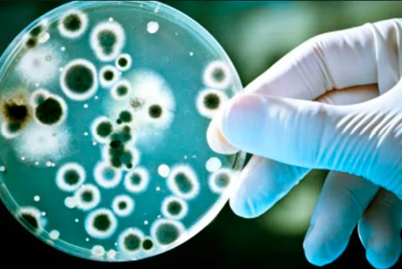 WellBlue пружинная и щелочная система фильтрации воды Kangen, щелочный ионизатор водяного фильтра