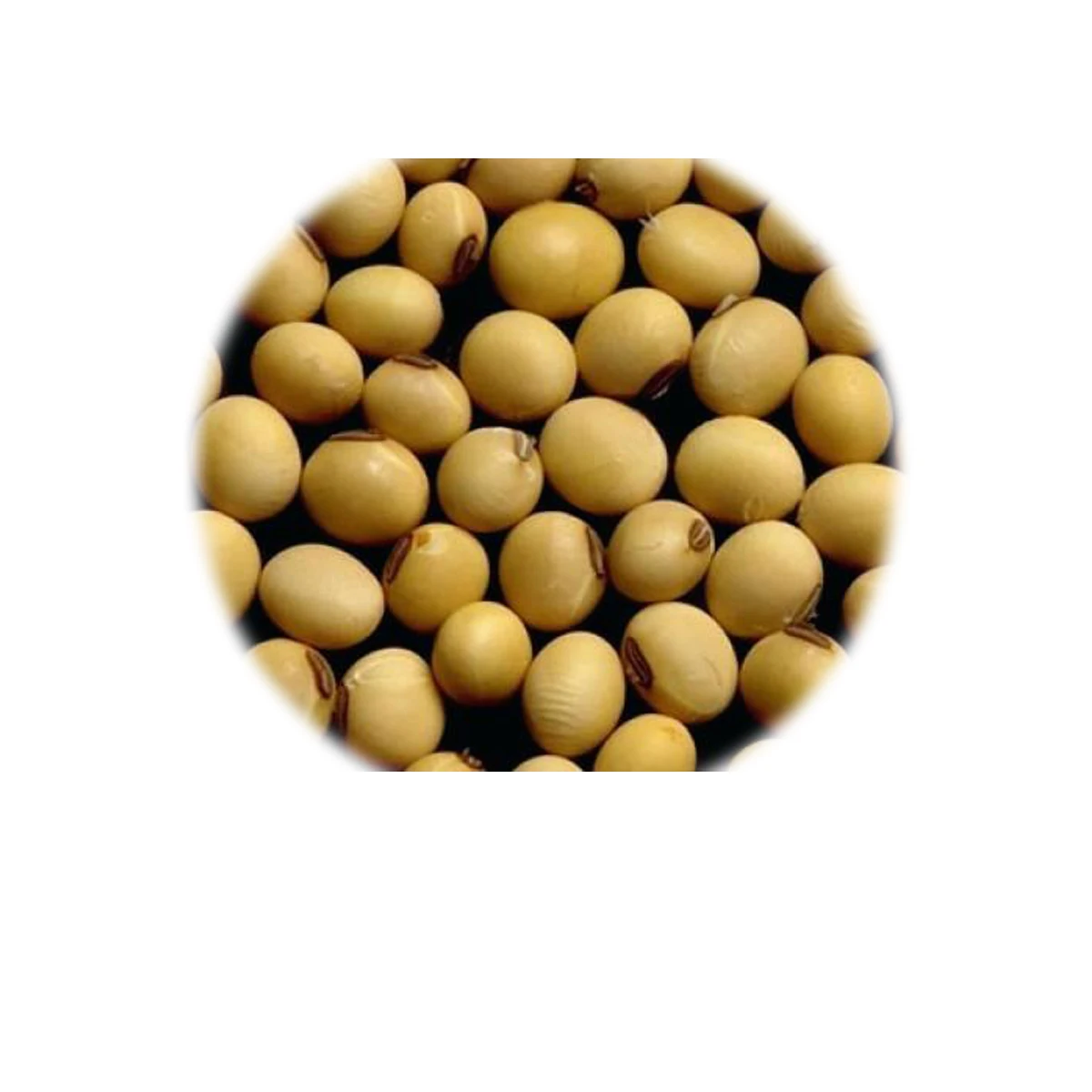 soybean fertilizer with organic protein nitrogen /Plant source 100% organic NPK fertilizer