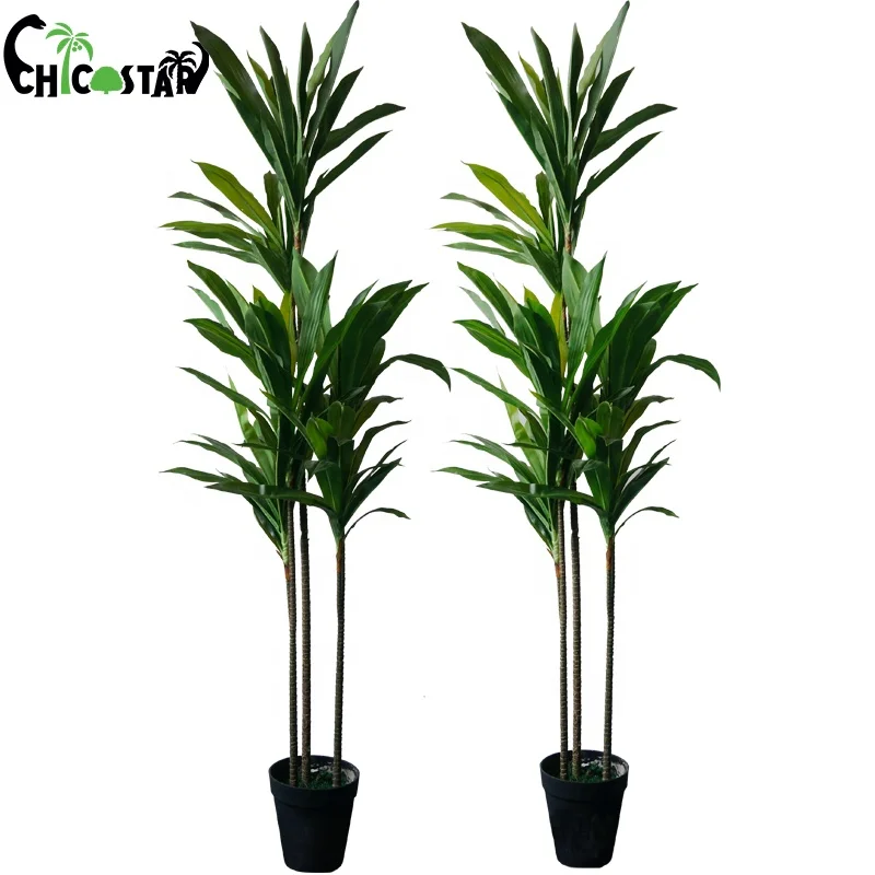 Furniture Decoration Artificial Dracaena Fragrans Artificial Brazil Plants for Sale Artificial Plants Plastic Shrubs