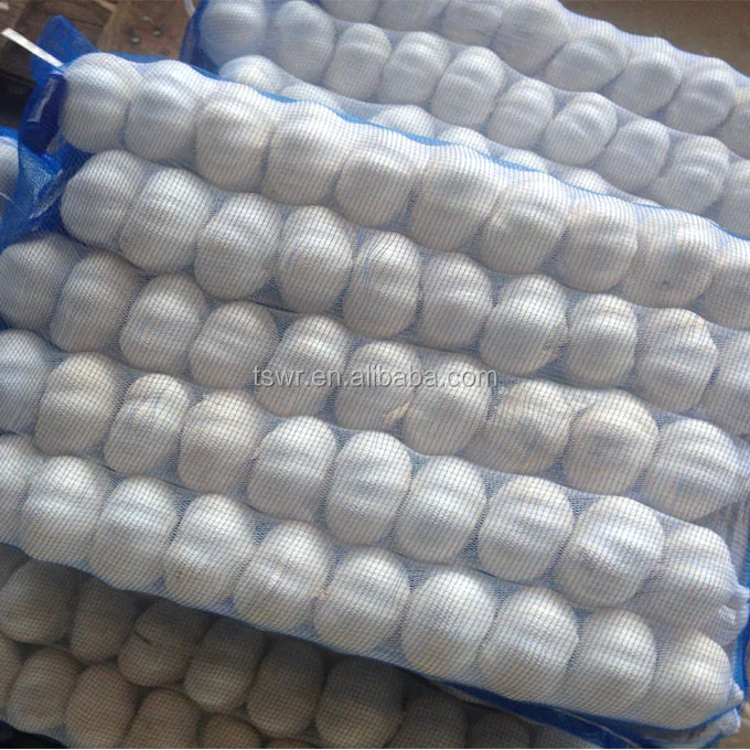 
new season garlic fresh garlic big size garlic 