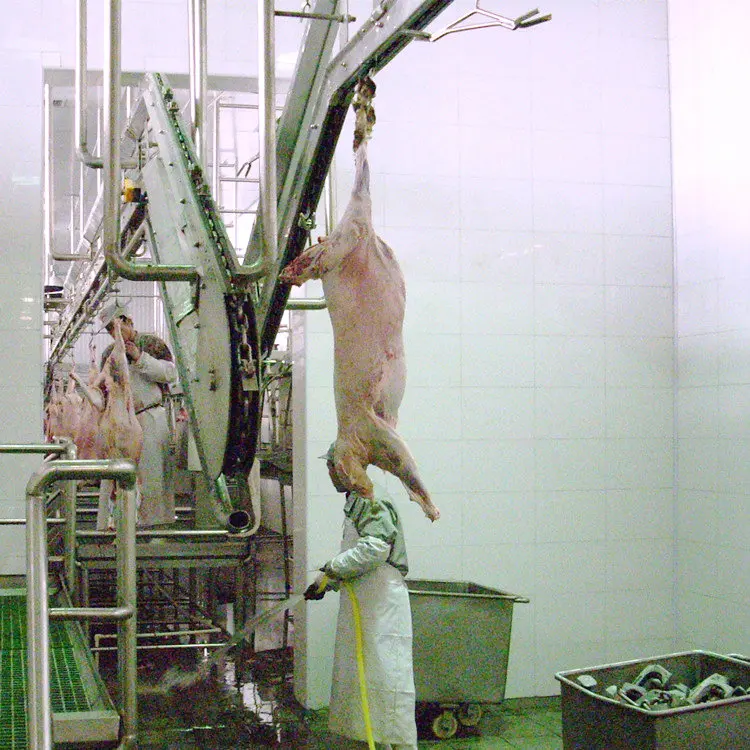 Slaughter Line Beat Price Halal Stainless Sheep Hide Puller