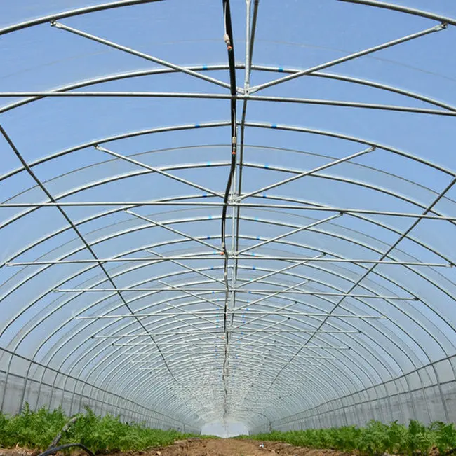 agricultural polytunnel greenhouse shouguang commercial greenhouse