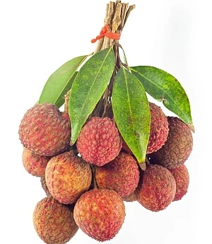 Food imprt of tropical fruits names canned lychee for malaysia