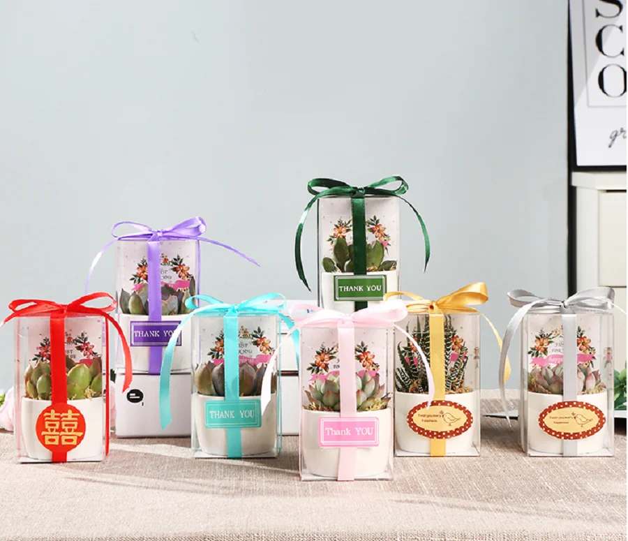 Wedding Favor Clear PVC Packaging Box Transparent PET Plastic Box With Ribbon