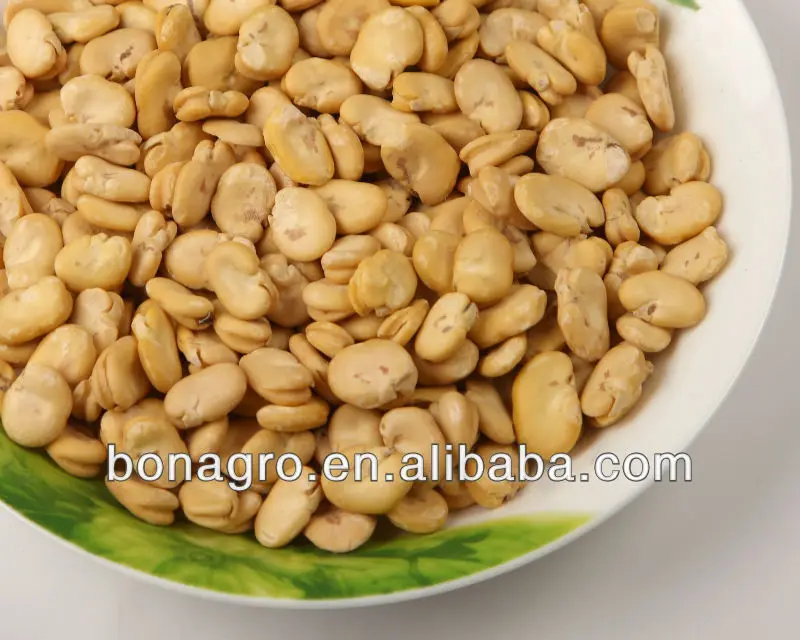 
New crop peeled broad bean 