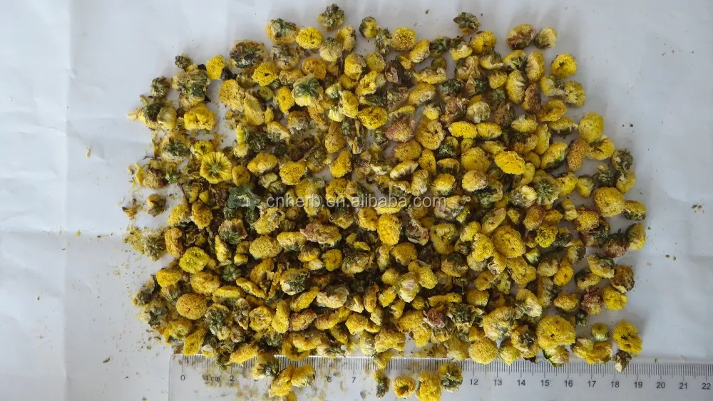 
Chrysanthemum/Perennial chamomile/Huang jin ju 